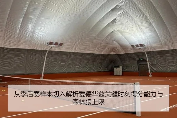 从季后赛样本切入解析爱德华兹关键时刻得分能力与森林狼上限